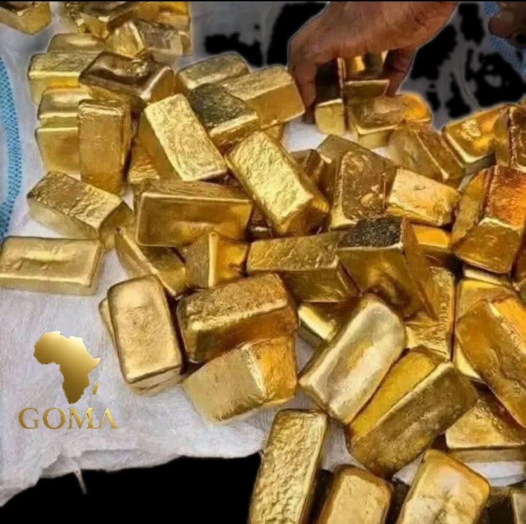 WhatsApp Image 2025-11-17 at 4.57.54 PM